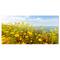 Designart - Little Yellow Flowers over Seashore - Large Flower Canvas Art Print
